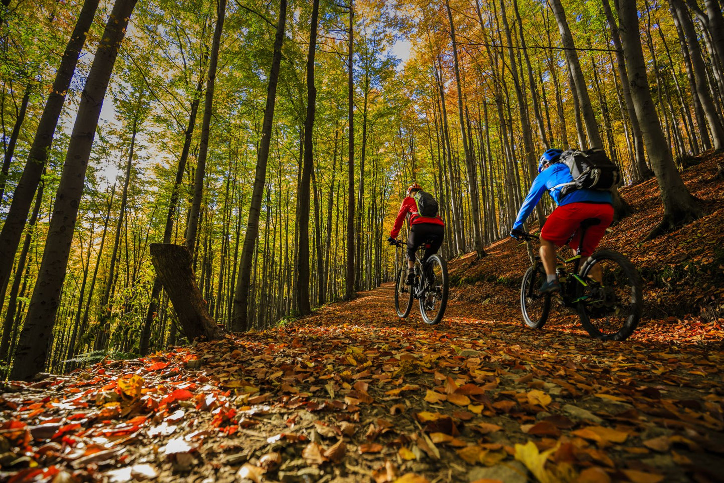 Sarajevo Olympic Mountains Day Tour